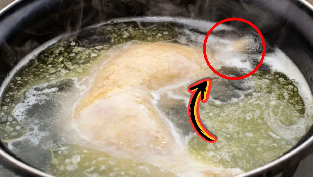 El pollo es un alimento nutritivo muy consumido en el mundo. Es importate cocinarlo completamente y bajo ciertos cuidados