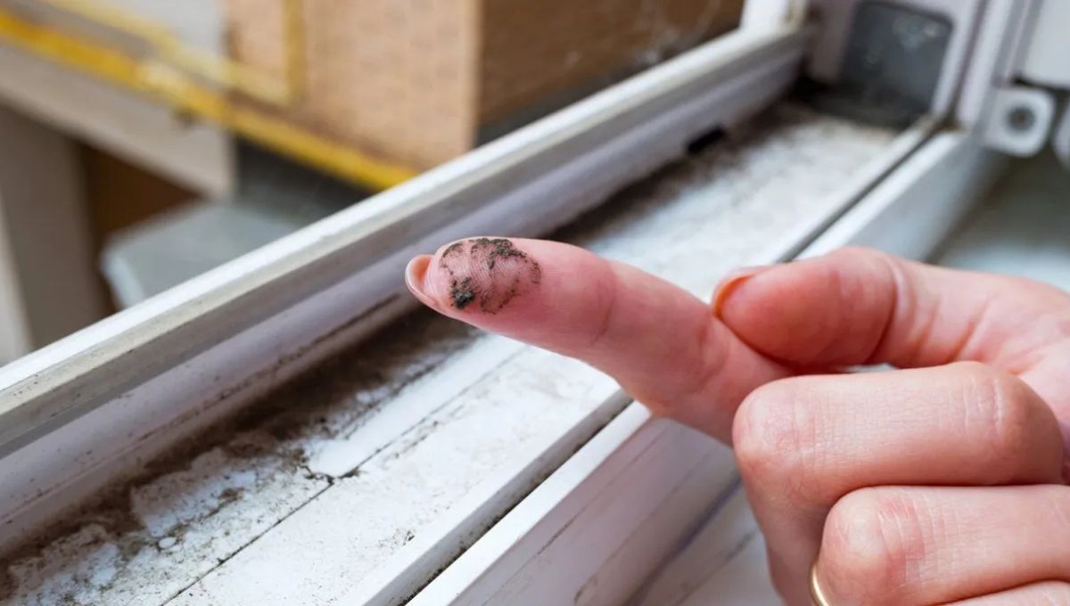Los rieles de las ventanas acumulan mucha tierra y suciedad. Los rieles de las ventanas acumulan mucha tierra y suciedad. 