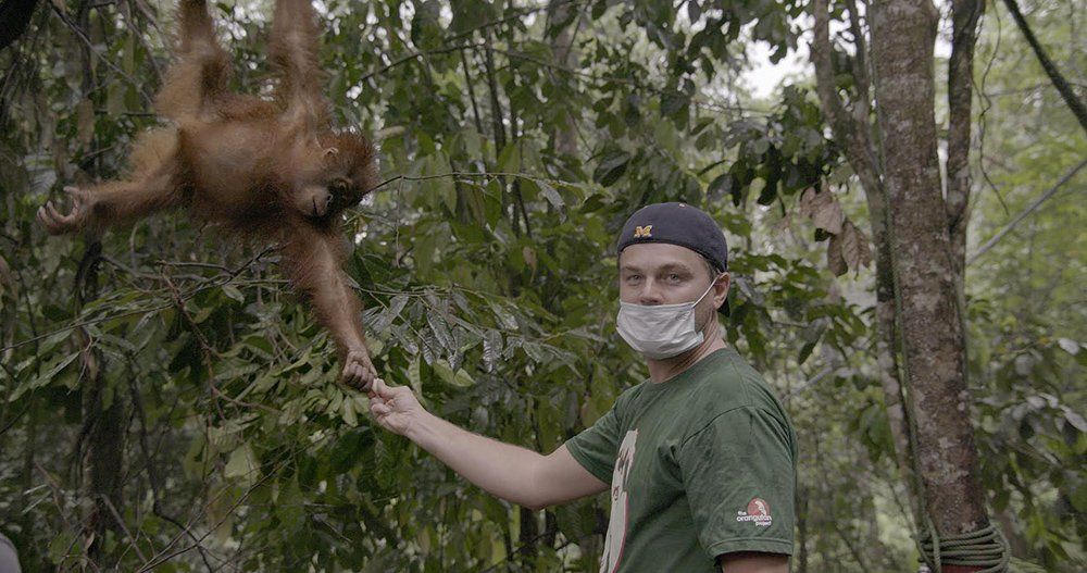 Antes que sea tarde, el documental de Nat Geo con Leo DiCaprio