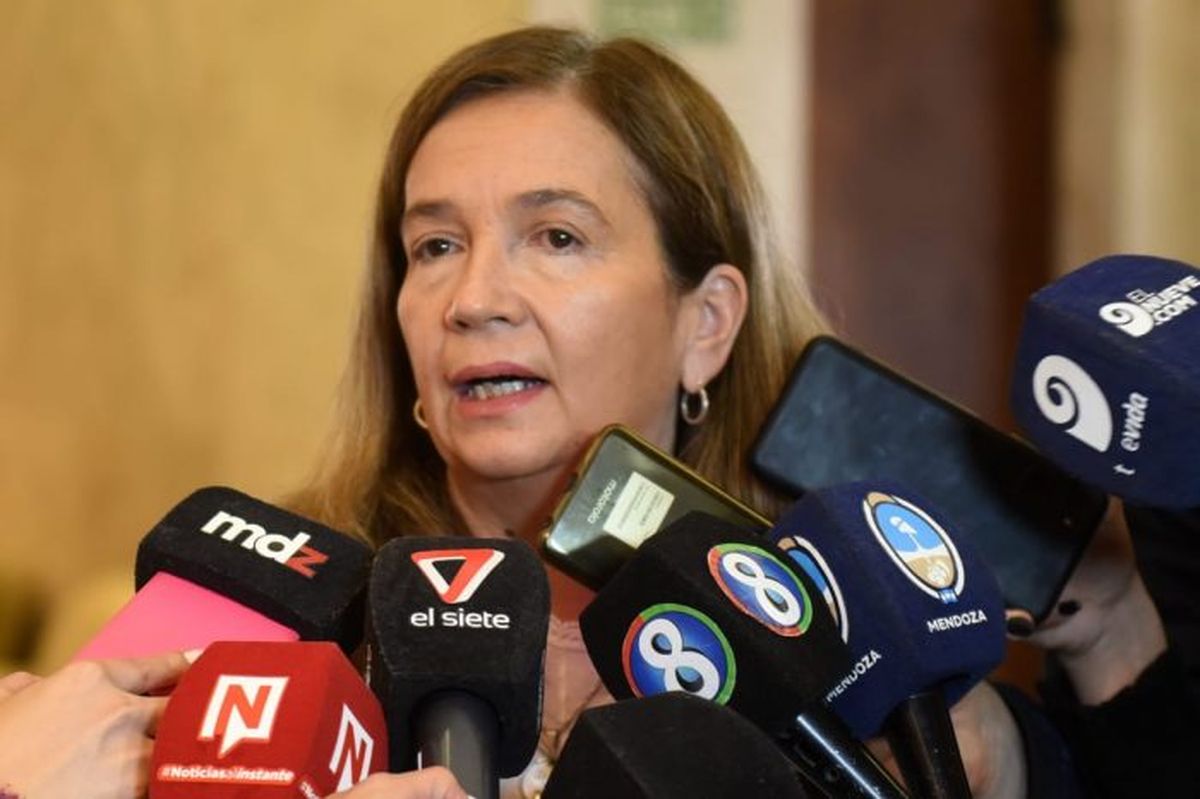 Salud refuerza controles en Mendoza para detectar casos de viruela del mono. Los anuncios estuvieron a cargo de Andrea Falaschi, directora de Epidemiología.