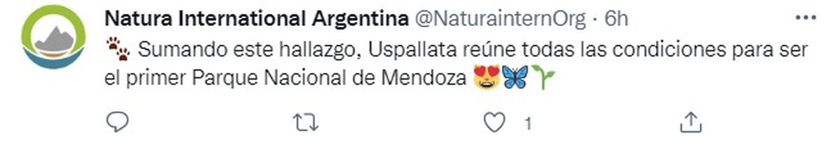 Desde Natura International sugirieron que Uspallata se convierta en el primer parque nacional de Mendoza.