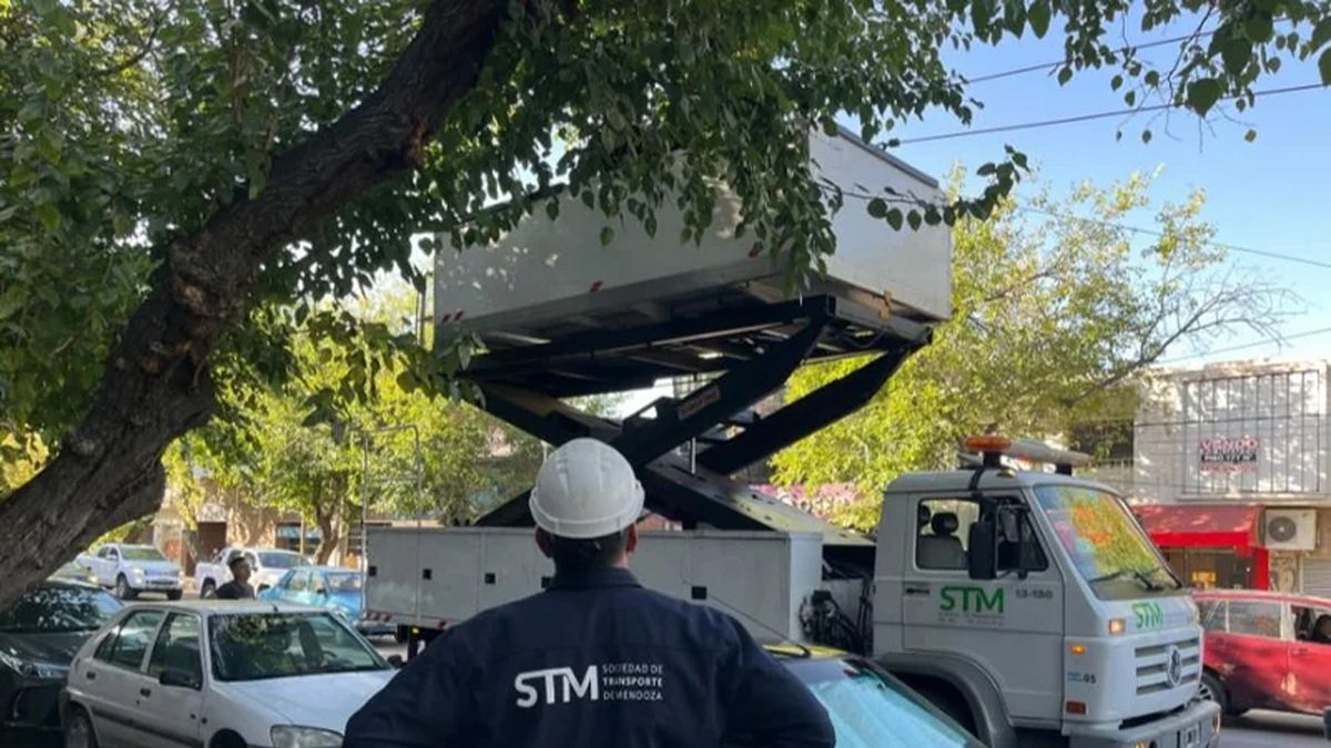 Por el Zonda trabajan para sacar los cables del trole.