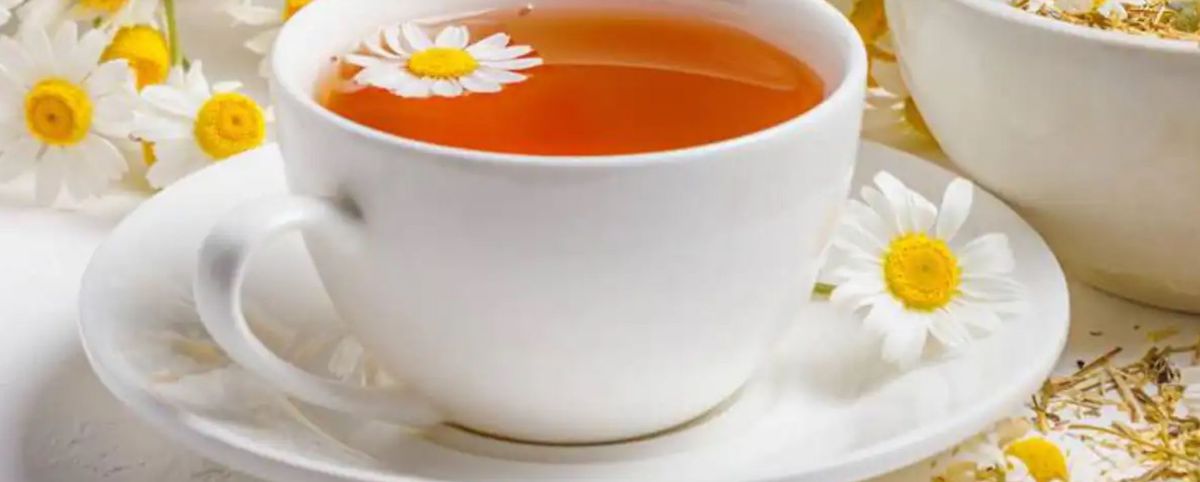 Beneficio de tomar té de manzanilla después de cenar. Beneficio de tomar té de manzanilla después de cenar.