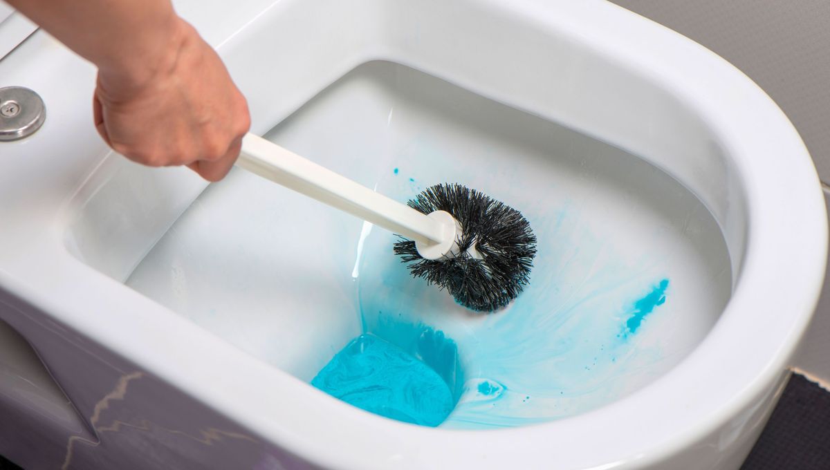 Utiliza cepillos únicamente para inodoro y nunca lo uses en el lavamanos u otros sectores del hogar. Utiliza cepillos únicamente para inodoro y nunca lo uses en el lavamanos u otros sectores del hogar. 