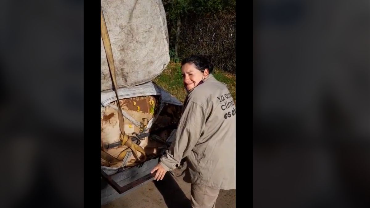 Claudia acomodando la carga recuperada de la basura domiciliaria, que pasa a ser su