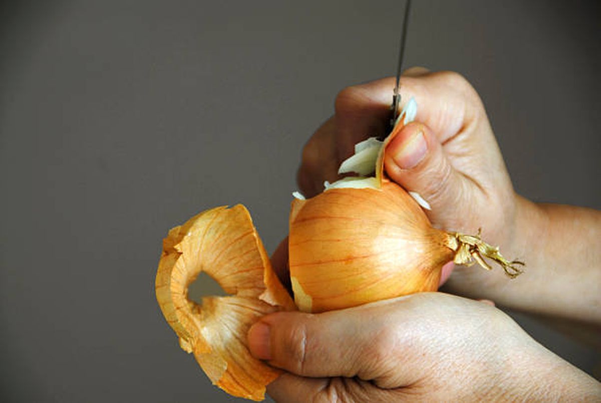 Las cáscaras de cebolla son un tesoro para la lengua de suegra. Las cáscaras de cebolla son un tesoro para la lengua de suegra.