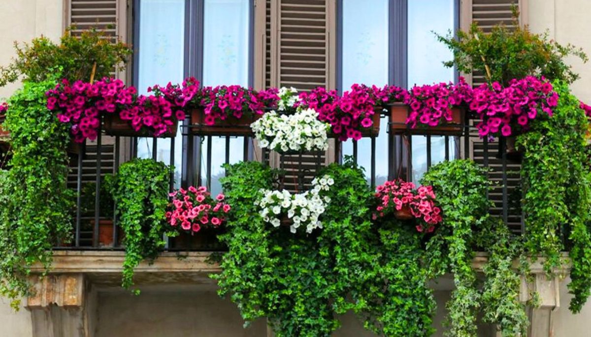 Las plantas son importantes para darle vida el balcón. Imagen: Freepik. Las plantas son importantes para darle vida el balcón. Imagen: Freepik.