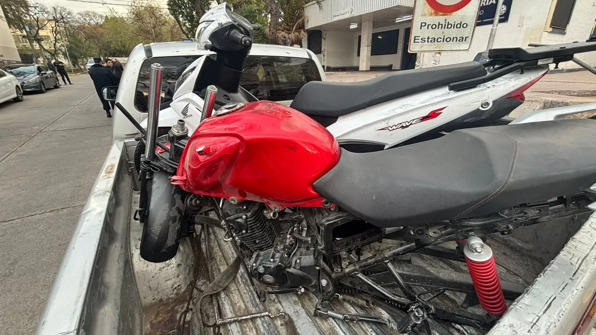 Algunos vehículos secuestrados durante los más de 40 allanamientos que se realizaron este viernes en barrios de la Ciudad de Mendoza. Algunos vehículos secuestrados durante los más de 40 allanamientos que se realizaron este viernes en barrios de la Ciudad de Mendoza.