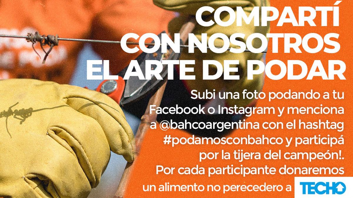 Con fotos de la poda hacen una campaña solidaria nacional