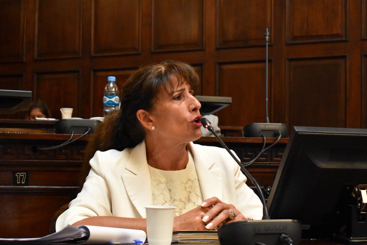 La diputada del Frente de Todos, Marisa Garnica, conoce de cerca la comuna de Luján, ya que fue funcionaria en la primera gestión de Omar De Marchi como intendente, y también una figura clave en la intendencia de su marido Omar Parisi.