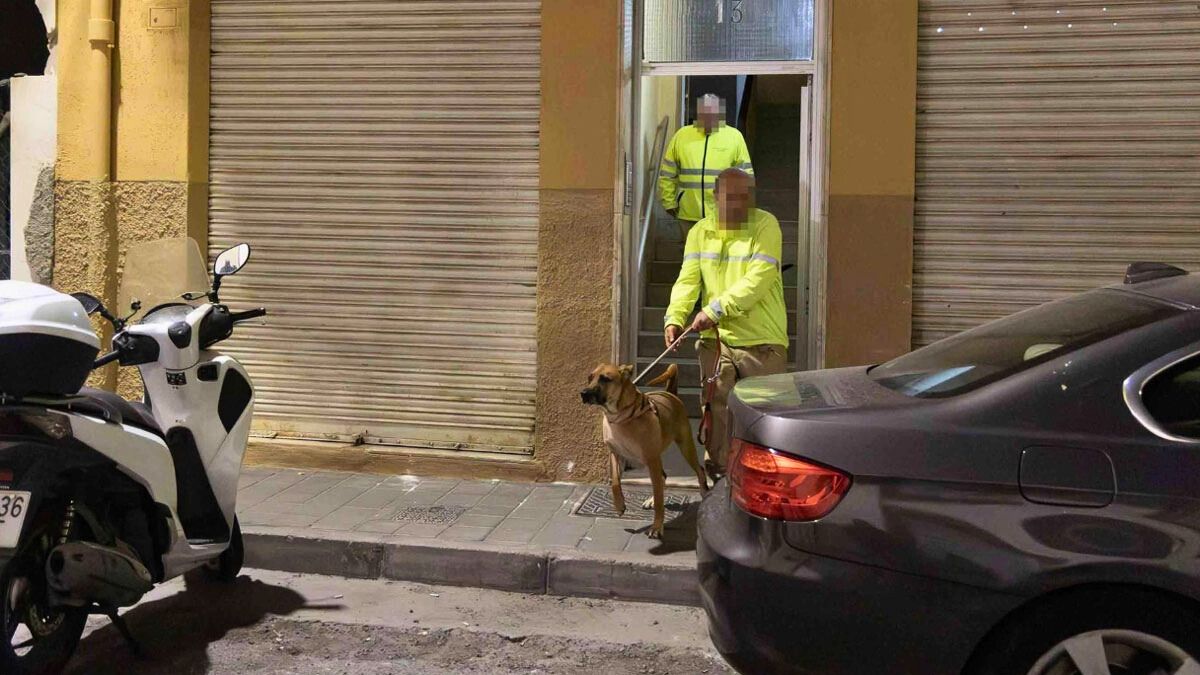 Un crimen escalofriante: discutió con su pareja, la mató a cuchillazos y se quitó la vida