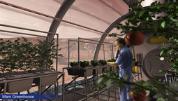 los cientificos dan un paso gigante para poder cultivar vegetales en marte