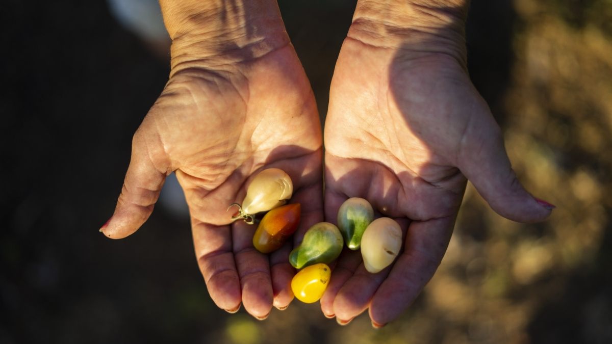 La población de Basavilbaso, Entre Ríos, ronda los 10.000 habitantes. (Foto: Julieta Bugacoff)