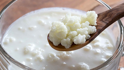 El kéfir es un probiótico compuesto de bacterias saludables ideal para mejorar la salud digestiva. El kéfir es un probiótico compuesto de bacterias saludables ideal para mejorar la salud digestiva.