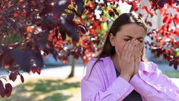 Alergias en primavera: cuáles son las más comunes y cómo prevenirlas