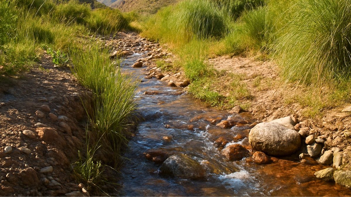 El agua no se negocia, pero ¿se cuida o se malgasta? El agua no se negocia, pero ¿se cuida o se malgasta?