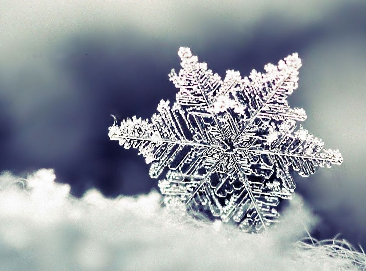 Temperaturas muy bajas vienen acompañada de la nieve