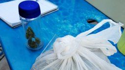 Detuvieron a un joven y encontraron un vivero de marihuana