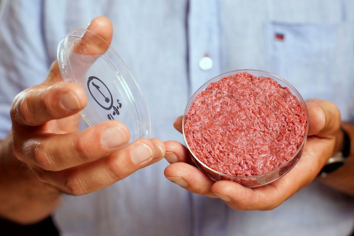 El auge de la carne cultivada en laboratorios: ¿el futuro de la alimentación?Imagen de Reuters.
