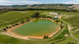 alteraron un curso de agua para su finca, destruyeron un bosque y terminaron multados con 100.000 dolares