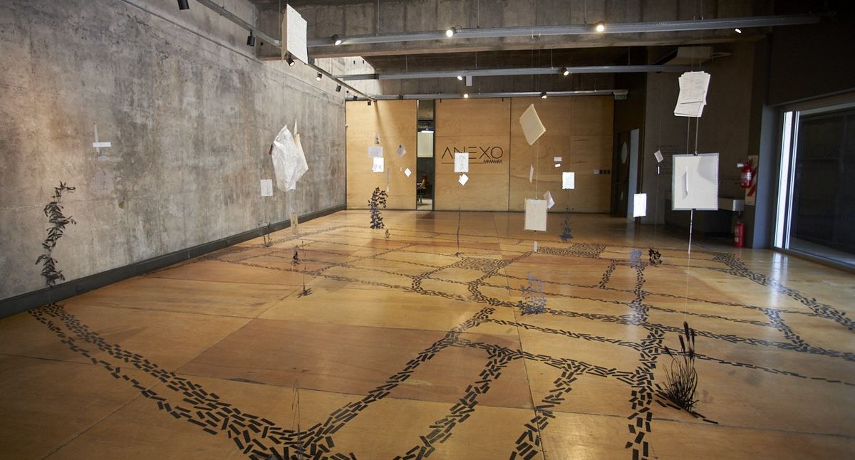 El montaje se da sobre el piso de la sala de arte con el propósito de que el público ancle la mirada en sus propios pies para empezar a descubrir su entorno natural. El montaje se da sobre el piso de la sala de arte con el propósito de que el público ancle la mirada en sus propios pies para empezar a descubrir su entorno natural.