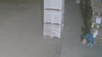 Video: vio por cámara cómo robaban su bodega y llamó al 911 pero la Policía llegó muy tarde
