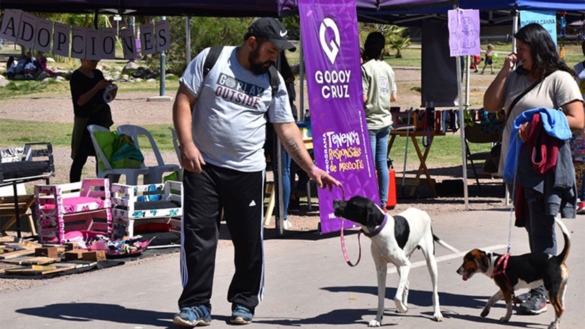 Sacar a pasear a un perro sin correa o si no se levanta el escremento de la mascota, será multado. Si es reinicdente, la multa se puede muliplicar por mil veces su valor.