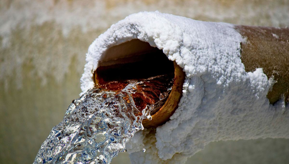 El vinagre también elimina el sarro de los termos, pavas y teteras. El vinagre también elimina el sarro de los termos, pavas y teteras.