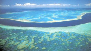 Australia invertirá millones para salvar la gran barrera de coral