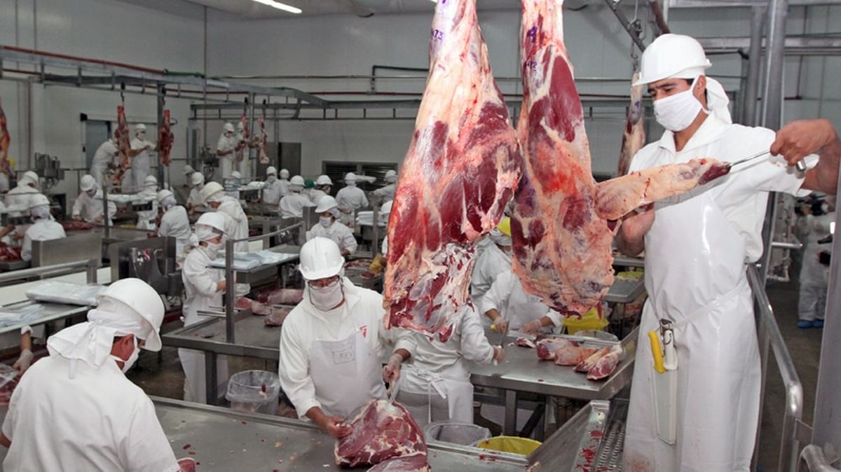 Ahora en Estados Unidos relativizan la compra de carne argentina. Ahora en Estados Unidos relativizan la compra de carne argentina.