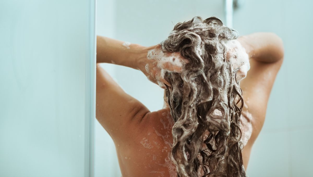 El shampoo solo se aplica en el cuero cabelludo. El shampoo solo se aplica en el cuero cabelludo. 