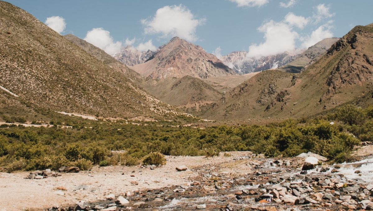 (Foto: Unsplash) (Foto: Unsplash)