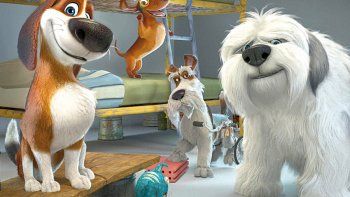 Estreno: Ozzy: rápido y peludo