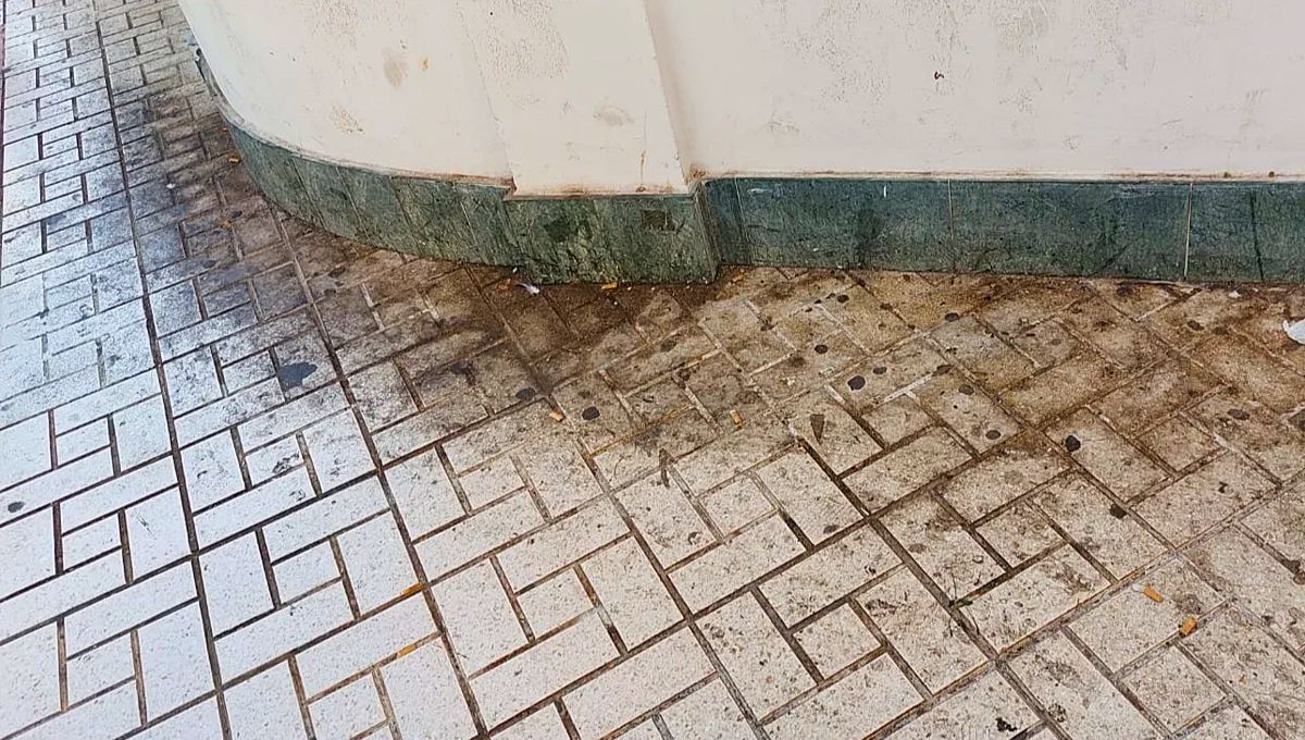 Un truco con vinagre para limpiar las baldosas de la casa pegoteadas y llenas de grasa