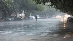 La tormenta dejó viviendas afectadas, árboles caídos y otras contingencias menores. Este sábado el pronóstico indica mejores condiciones del tiempo. La tormenta dejó viviendas afectadas, árboles caídos y otras contingencias menores. Este sábado el pronóstico indica mejores condiciones del tiempo.