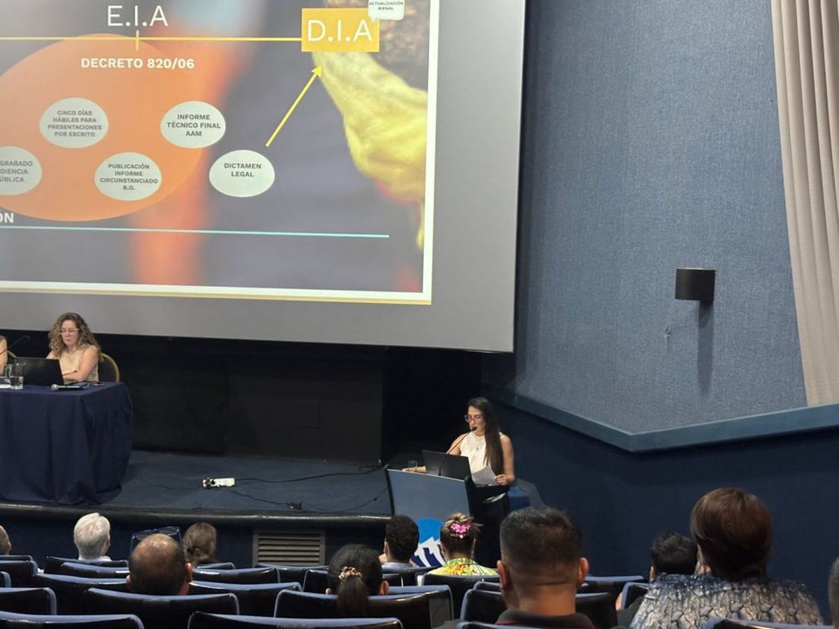 Además del cobre y el potasio, Mendoza busca avanzar en la explotación del litio, un mineral ampliamente requerido en el mundo.