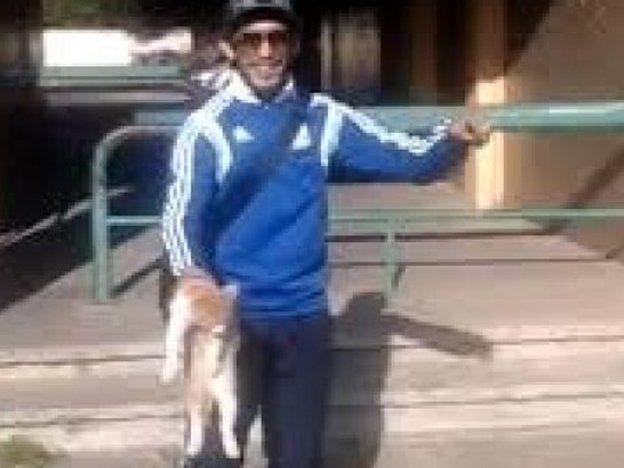 Arrojó un gato contra la pared y subió el video a internet: fue detenido