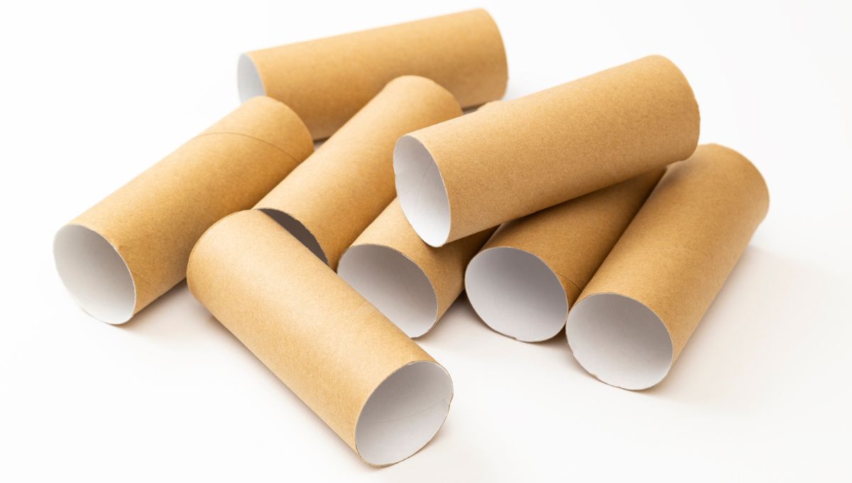 El tubo o rollo de papel higiénico puede reciclarse de muchas maneras. El tubo o rollo de papel higiénico puede reciclarse de muchas maneras. 