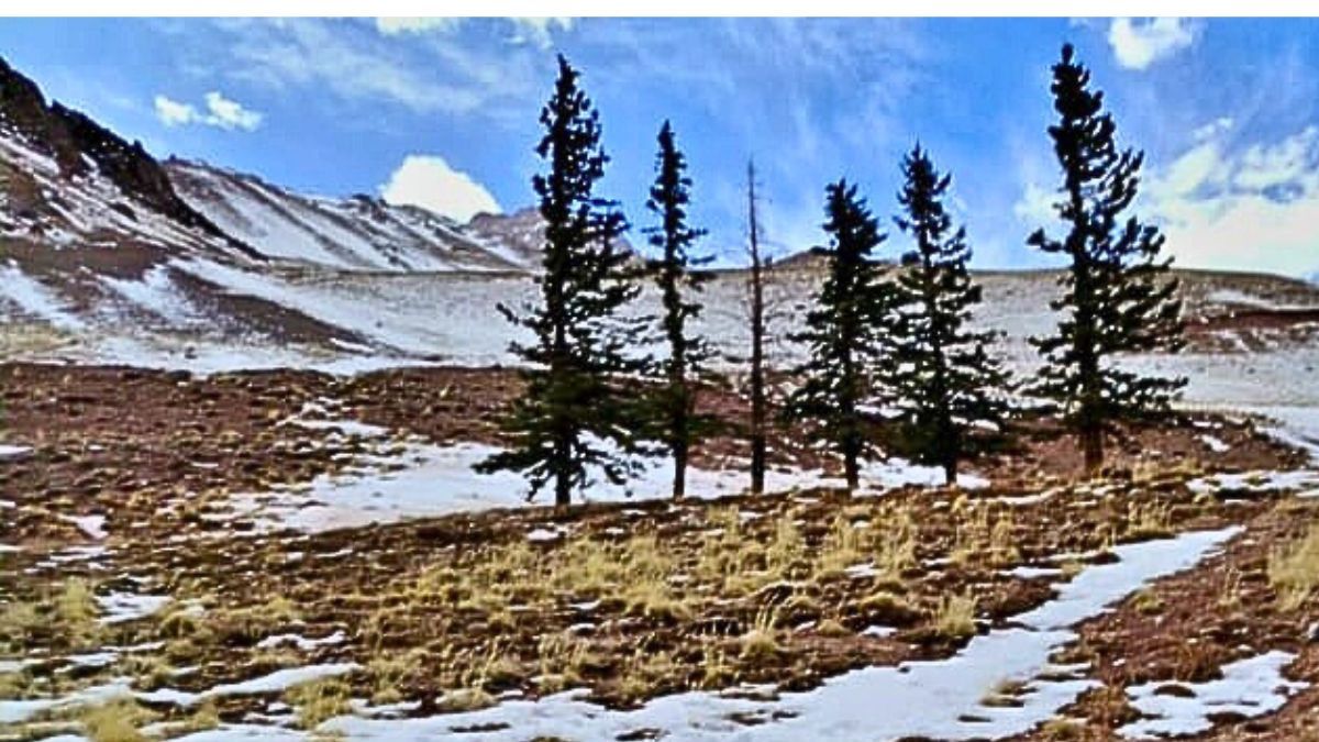 Se esperan nevadas en la alta montaña. Se esperan nevadas en la alta montaña.