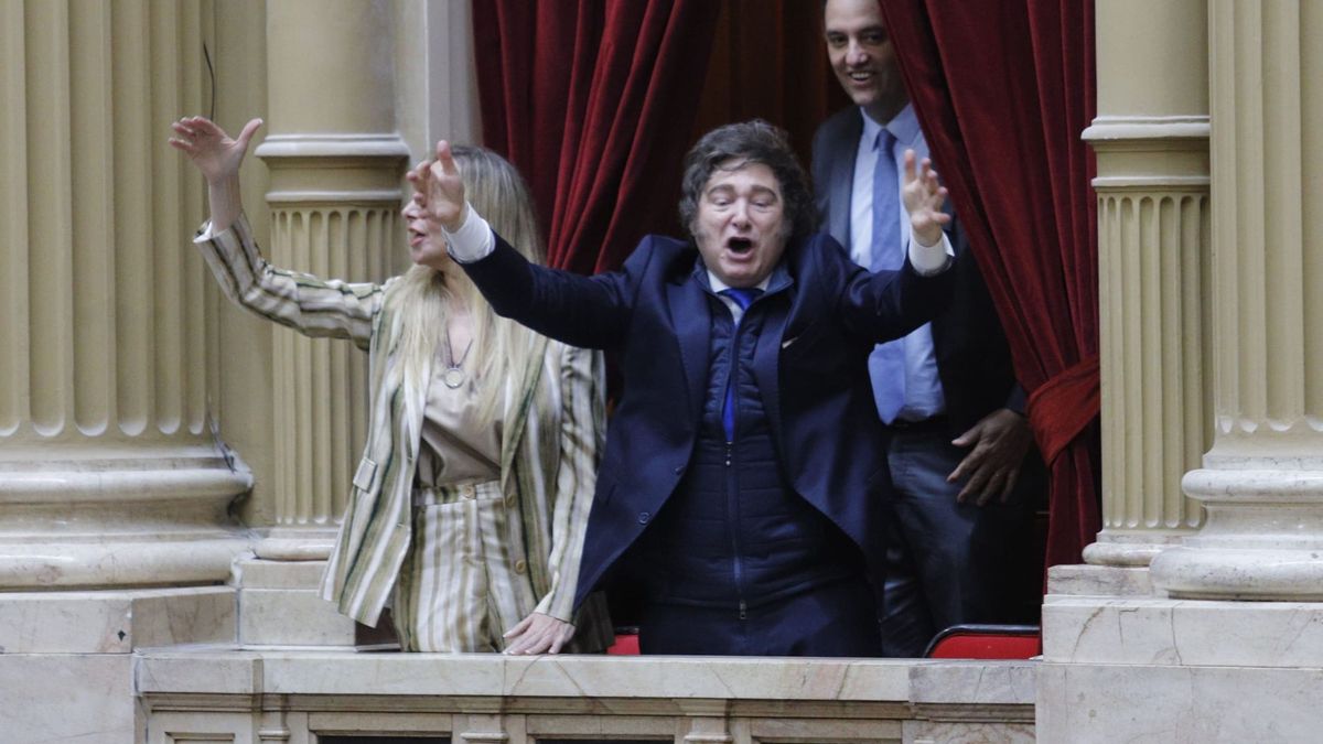 Javier Milei sigui&oacute; la jura de los diputados nacionales desde un palco en el Congreso.