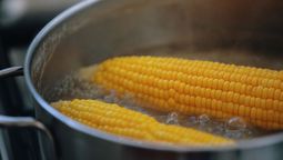 ¿Sabías que no todos los alimentos se agregan al agua de la misma manera?