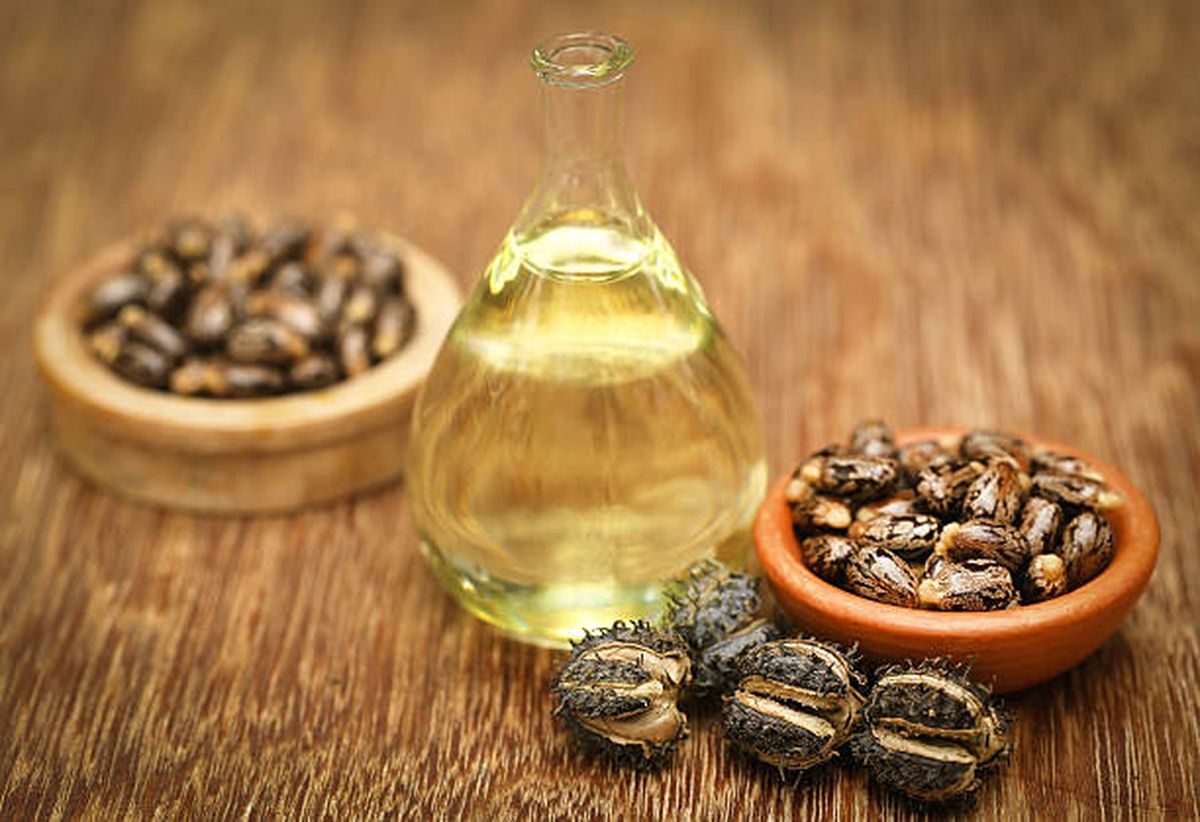 Las propiedades del aceite de ricino ayudarán a tapar las canas. Las propiedades del aceite de ricino ayudarán a tapar las canas.