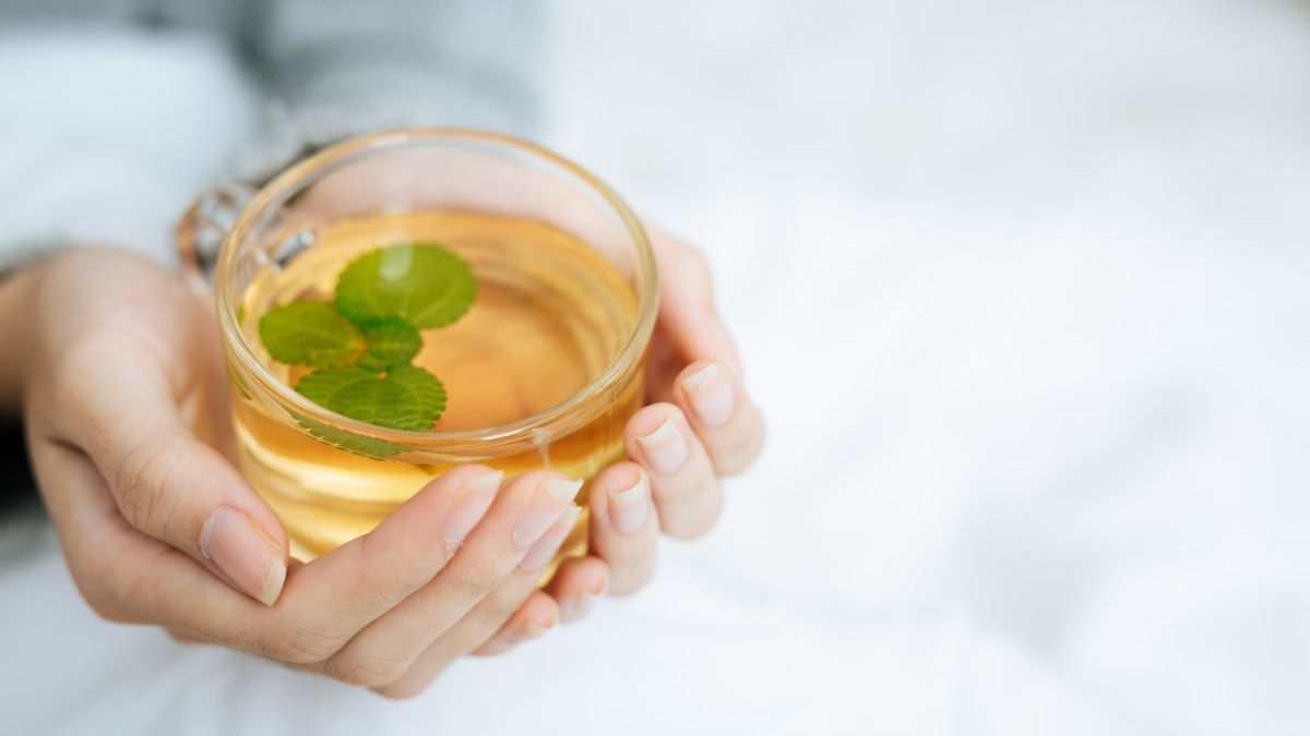 El té de lechuga tiene propiedades que son relajantes y efectivas. El té de lechuga tiene propiedades que son relajantes y efectivas. 