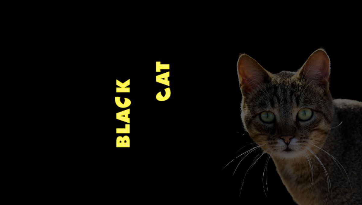 Acertijo visual. Acertijo visual.