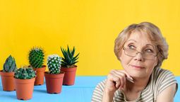 El truco casero de la abuela para revivir cactus secos