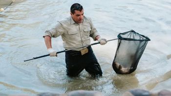 Vacían un lago emblemático de Argentina y trasladan a más de 1.000 peces en un operativo inédito Vacían un lago emblemático de Argentina y trasladan a más de 1.000 peces en un operativo inédito