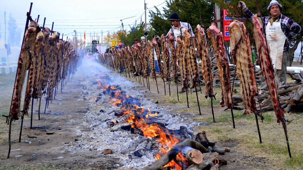 Los 100 costillares al ensartador listos para ser servidos en el tradicional almuerzo ganadero. Los 100 costillares al ensartador listos para ser servidos en el tradicional almuerzo ganadero.