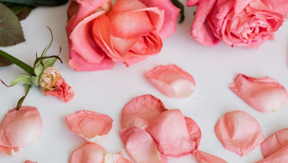 Los pétalos de rosas le brindarán al exfoliante un aroma agradable. Los pétalos de rosas le brindarán al exfoliante un aroma agradable. 