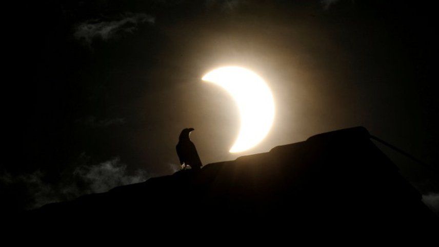 Así se vio el eclipse solar excepcional del tipo anillo de fuego