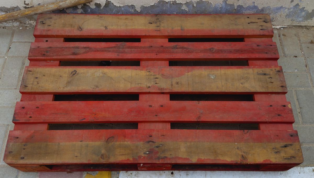 Quien tiene palets de madera en su casa tiene un tesoro: por qué y para qué sirven